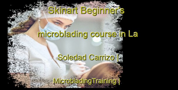 Skinart Beginner's microblading course in La Soledad Carrizo | MicrobladingTraining | MicrobladingClasses | SkinartTraining-Mexico
